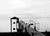 Private Pier Black & White