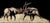 In the captivating animal artwork When Push Comes to Shove, two elk with large antlers clash dramatically against a black background, standing on dried grass and casting shadows for added contrast.