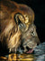 Quenching a Thirst - Marcus Ashley Gallery - Marcus Ashley Gallery