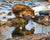 Reflecting Bear