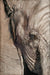 Sad Eye - Marcus Ashley Gallery - Marcus Ashley Gallery