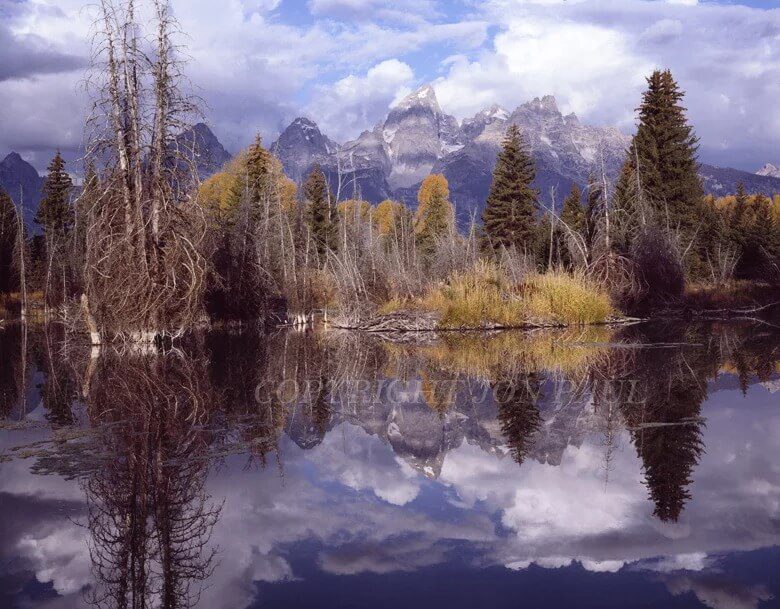 Schwabacher&#39;s Beaver Pond Reflection by Jon Paul