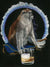 Scotch Monkey - Marcus Ashley Gallery - Marcus Ashley Gallery