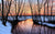 Solitude 2 - Marcus Ashley Gallery - Marcus Ashley Gallery