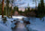Spring Shadows - Marcus Ashley Gallery - Marcus Ashley Gallery