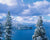 Stellar's View - Marcus Ashley Gallery - Marcus Ashley Gallery