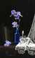 Still Life with Iris and Lace - Marcus Ashley Gallery - Marcus Ashley Gallery
