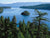 Sugar Pine, Emerald Bay - Marcus Ashley Gallery - Marcus Ashley Gallery