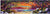 Sunrise Palm - Marcus Ashley Gallery - Marcus Ashley Gallery