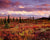Fall Tundra, Sunset, Denali NP