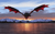Tahoe Dragon - Marcus Ashley Gallery - Marcus Ashley Gallery