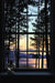 Tahoe Window - Marcus Ashley Gallery - Marcus Ashley Gallery