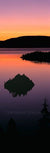 Tangerine Dream - Marcus Ashley Gallery - Marcus Ashley Gallery