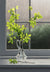 The Indisputable Signs of Spring - Marcus Ashley Gallery - Marcus Ashley Gallery