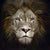 The King - Marcus Ashley Gallery - Marcus Ashley Gallery