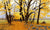 The Old Divide - Marcus Ashley Gallery - Marcus Ashley Gallery