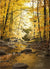 Parting Gift - Marcus Ashley Gallery - Marcus Ashley Gallery