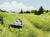The Voyage - Marcus Ashley Gallery - Marcus Ashley Gallery