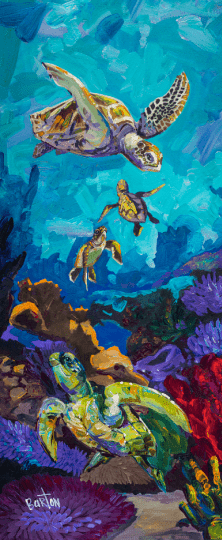 Steve Barton’s Honu Family is a vibrant underwater painting showing adult and baby turtles swimming among colorful corals on a striking blue background, capturing a dynamic ocean scene.