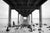 Valhalla Pier Winter - Marcus Ashley Gallery - Marcus Ashley Gallery