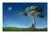 Where Love Grows - Marcus Ashley Gallery - Marcus Ashley Gallery