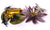 Water Lotus - Marcus Ashley Gallery - Marcus Ashley Gallery