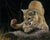 What Is It? - Marcus Ashley Gallery - Marcus Ashley Gallery