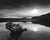 Where I Walk (Fallen Leaf Lake) - Marcus Ashley Gallery - Marcus Ashley Gallery