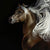 Wild Thing - Marcus Ashley Gallery - Marcus Ashley Gallery