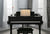 Winter Piano Rose - Marcus Ashley Gallery - Marcus Ashley Gallery