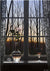 Winter Rose - Marcus Ashley Gallery - Marcus Ashley Gallery