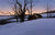 Winter Homestead - Marcus Ashley Gallery - Marcus Ashley Gallery