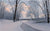 Winter's Farewell - Marcus Ashley Gallery - Marcus Ashley Gallery