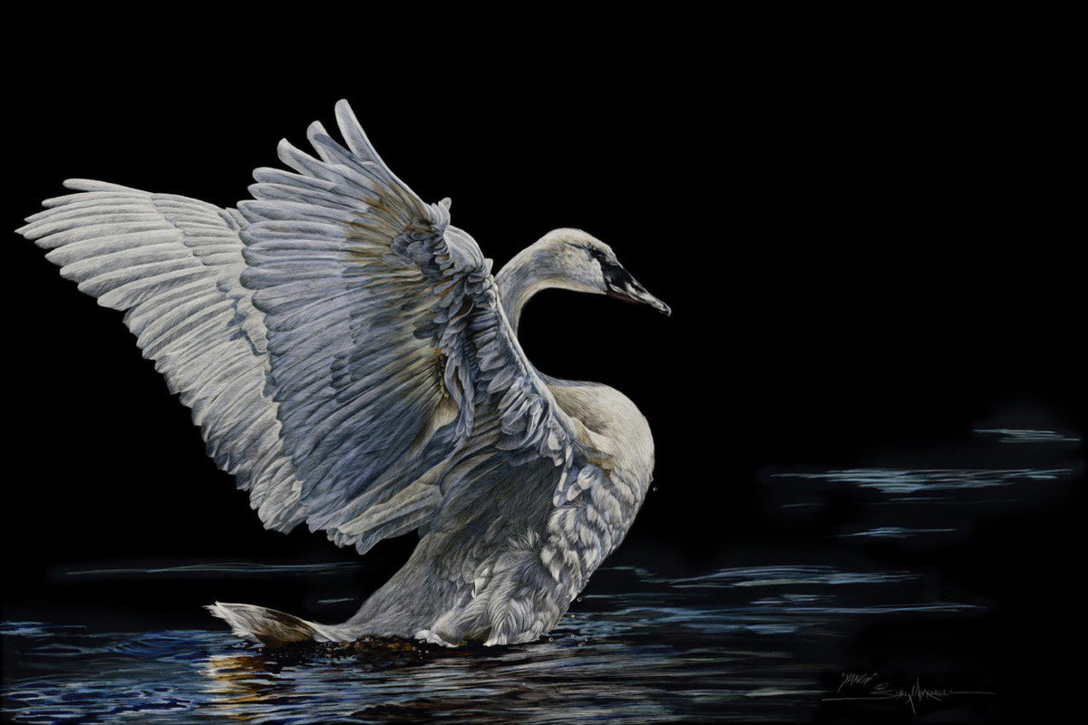 Detailed portrait by Sally Maxwell of a grey swan facing right, called YANG.