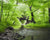Young Summer - Marcus Ashley Gallery - Marcus Ashley Gallery