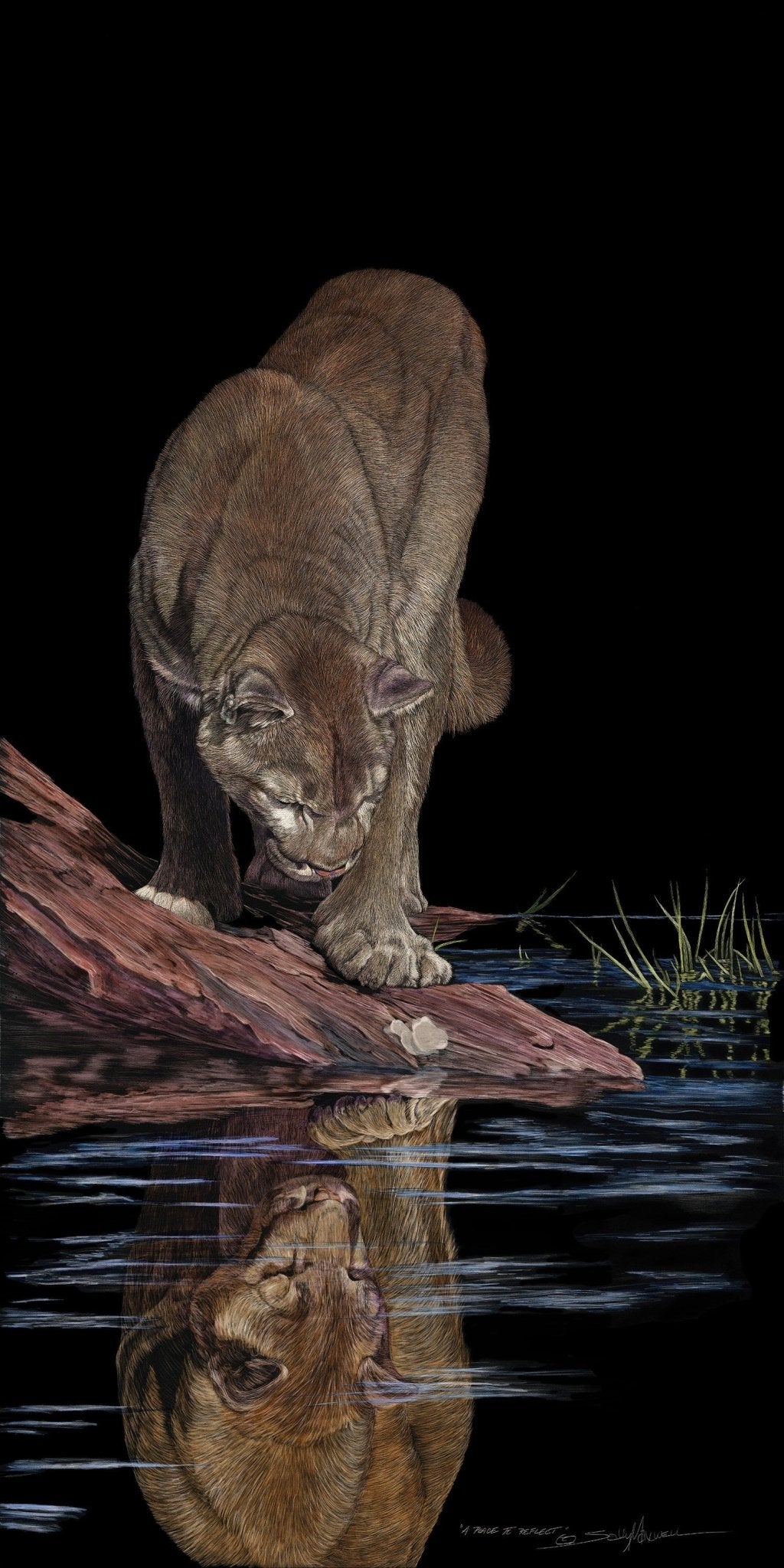 A Place to Reflect - Marcus Ashley Gallery