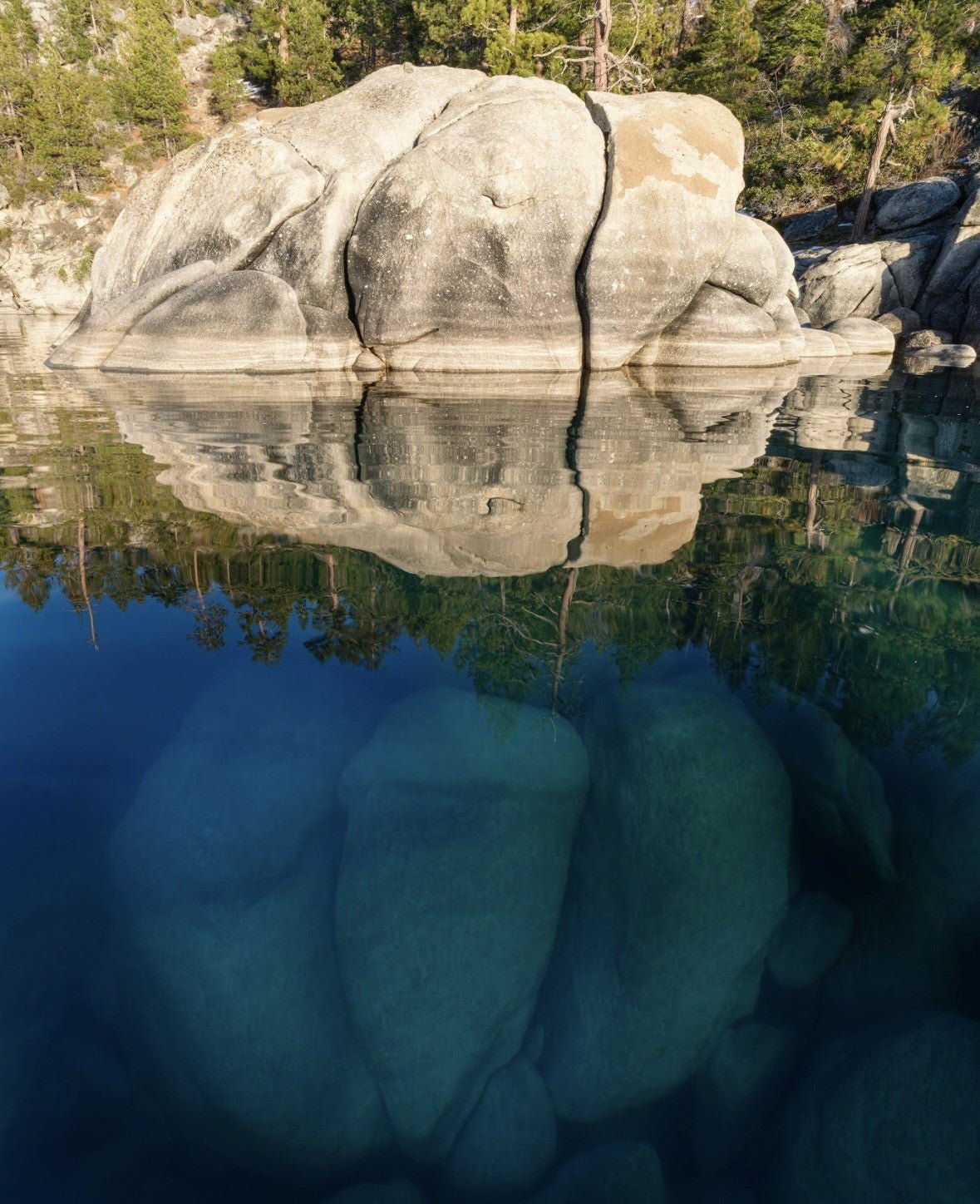 Above and Below Lake Tahoe - Marcus Ashley Gallery - Marcus Ashley Gallery