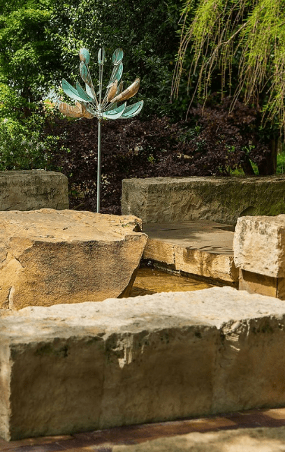 Agave - Marcus Ashley Gallery - Marcus Ashley Gallery