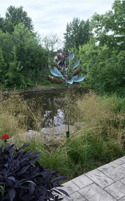 Agave - Marcus Ashley Gallery - Marcus Ashley Gallery