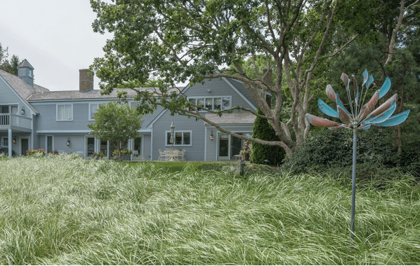 Agave - Marcus Ashley Gallery - Marcus Ashley Gallery