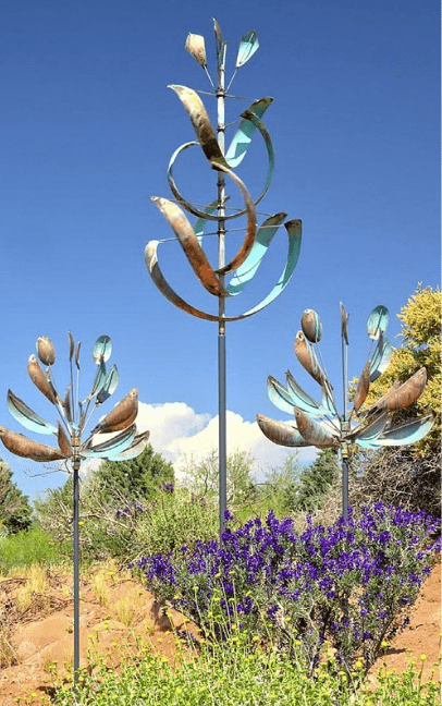 Agave - Marcus Ashley Gallery - Marcus Ashley Gallery