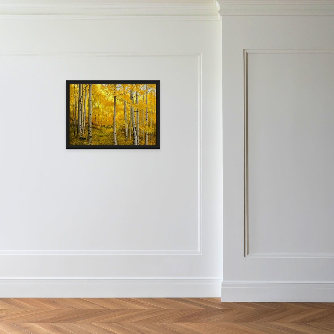 Alone with the Aspens - Marcus Ashley Gallery - Marcus Ashley Gallery