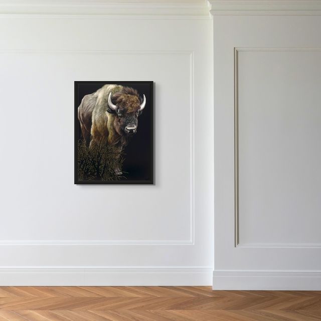 American Buffalo - Marcus Ashley Gallery - Marcus Ashley Gallery