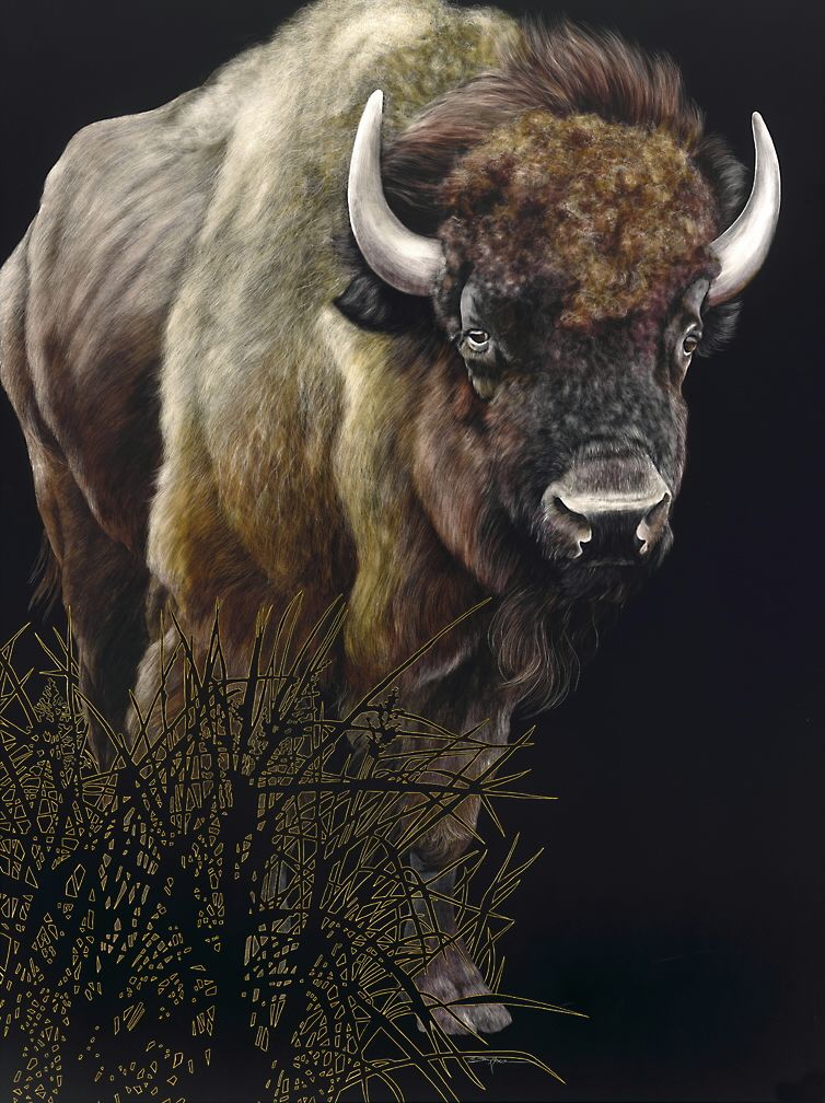 American Buffalo