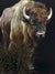 American Buffalo