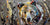 Among the Trees - Marcus Ashley Gallery - Marcus Ashley Gallery