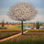 Another Sunshine - Marcus Ashley Gallery