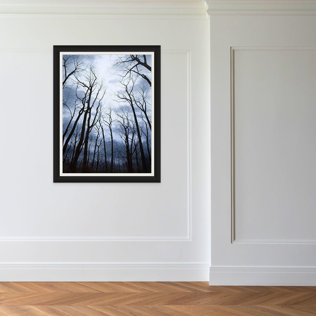 Anticipation of Spring - Marcus Ashley Gallery - Marcus Ashley Gallery