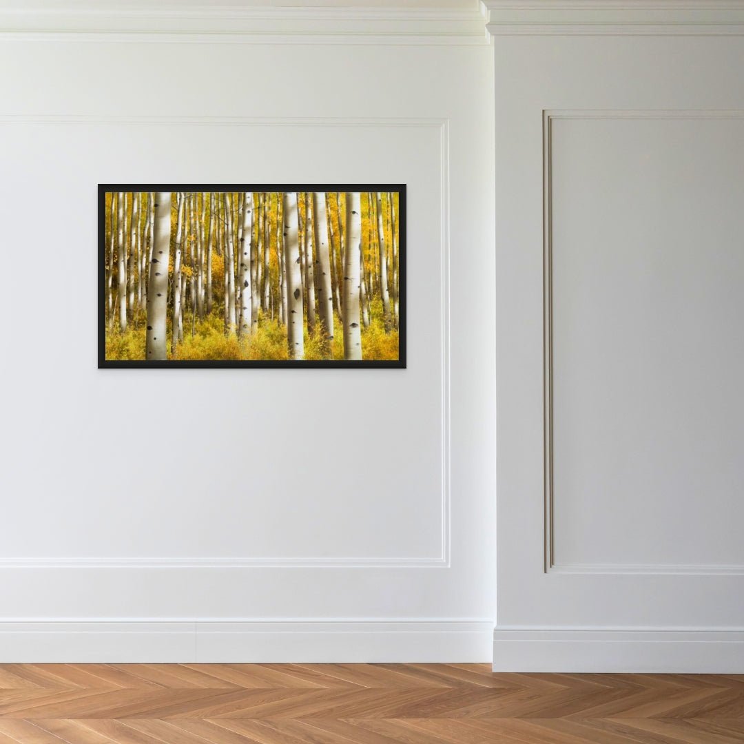 Aspen Morning - Marcus Ashley Gallery - Marcus Ashley Gallery