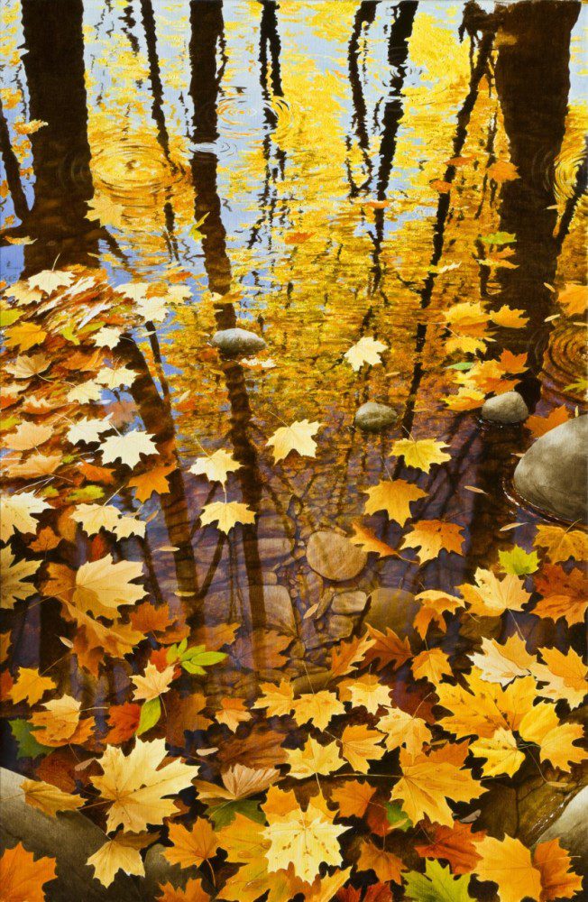 Autumn Leaves 2